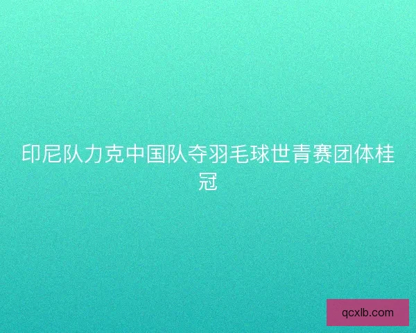 印尼队力克中国队夺羽毛球世青赛团体桂冠